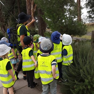 Children in the forest learning about trees and biodiversity