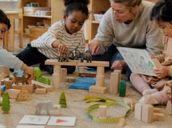 building a city, bridge, zoo, or farm