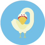 55