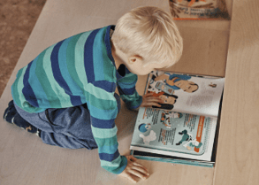 Boy reading a book