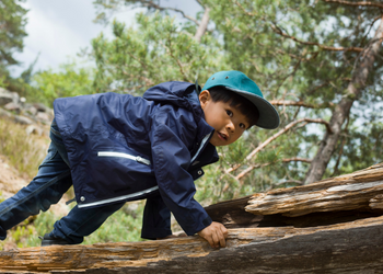 Who Let the Pedagogues Out? Boy exploring the outdoors