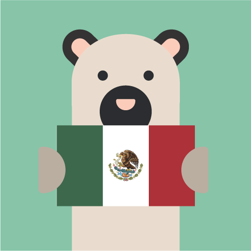 HEI Schools mexico flag-163